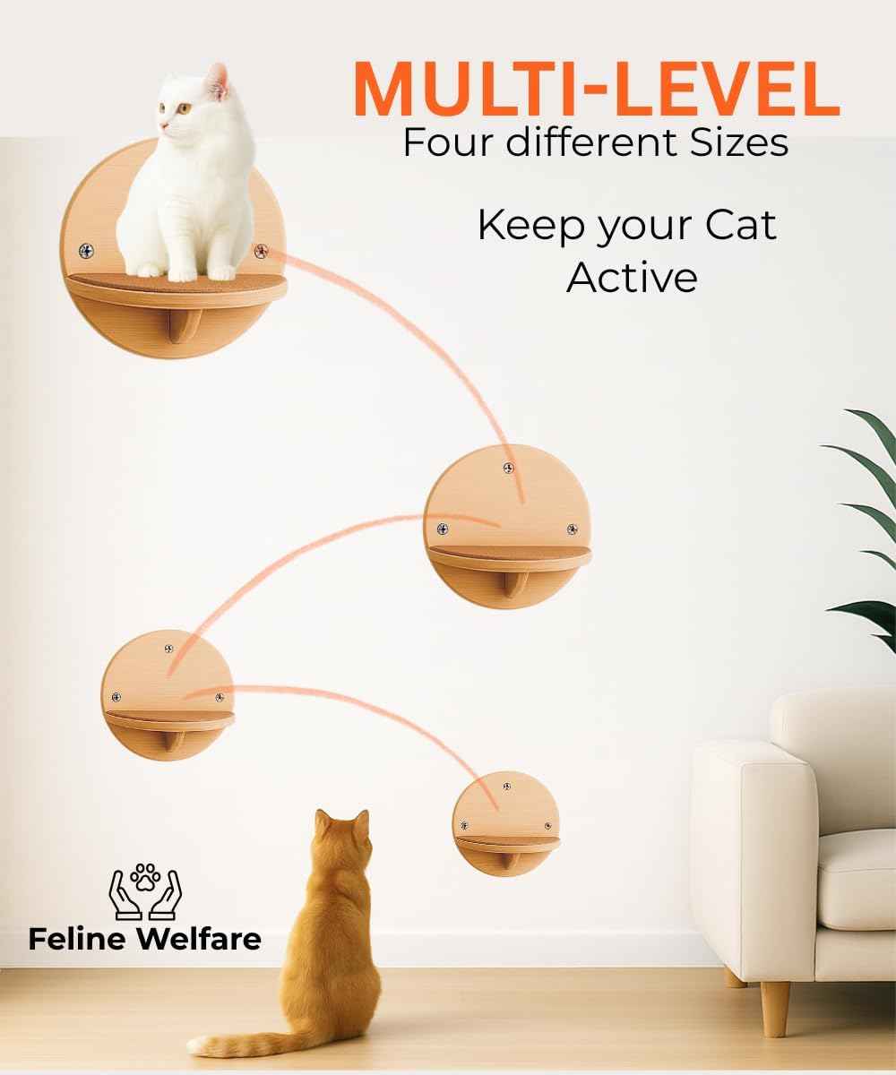 Cat Wall Shelves - Set of 4 Round Floating Wall Steps Scratch Pads, up to 20Lbs. Saving-Space Decorative Wall-Mounted Cat Furniture for Climbing, Playing & Resting - Solid Natural Wood by INSTINTO