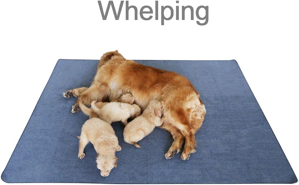 Peepeego Non-Slip Dog Pad 65 x 48, Washable Puppy Pads with Fast Absorbent, Waterproof for Training, Whelping for Puppy Playpen