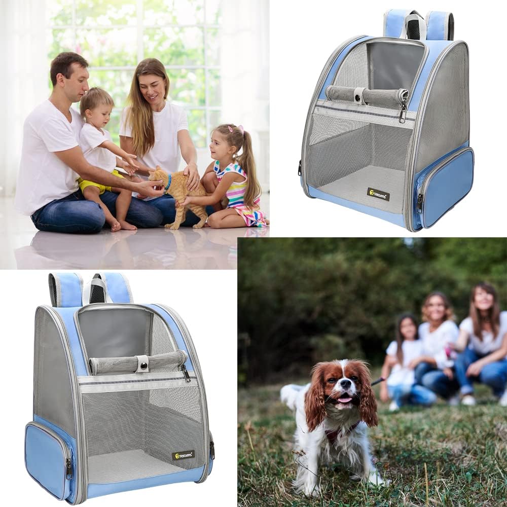 Texsens Pet Backpack Carrier for Small Cats Dogs | Ventilated Design, Safety Straps, Buckle Support, Collapsible | Designed for Travel, Hiking & Outdoor Use (Blue)