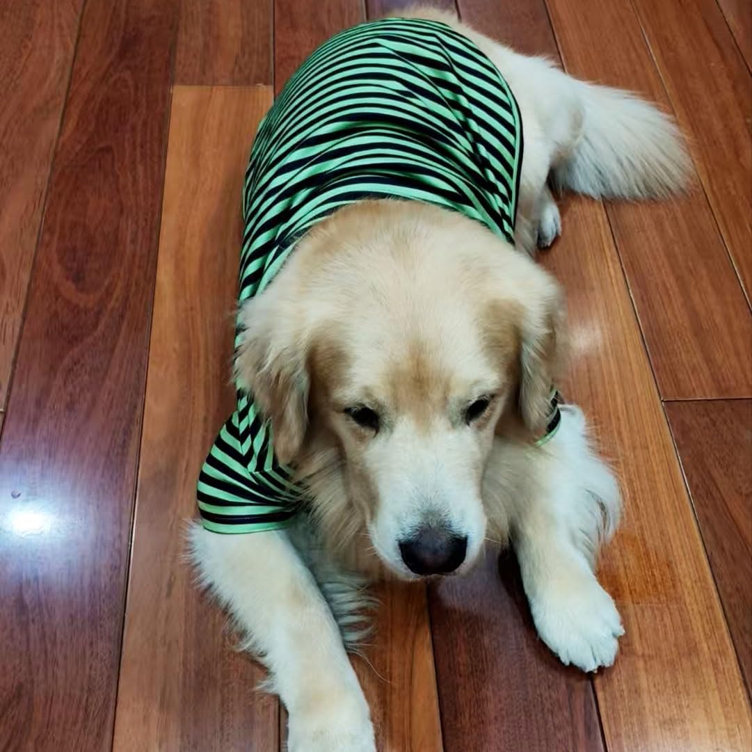 Turtleneck Dog Shirts for Large Dogs, Striped T-Shirt Comfy Stretchy Shirt Puppy Sweater Warm Costumes Pet Pullover Clothes for Big Breeds (Green Striped, 5X-Large)