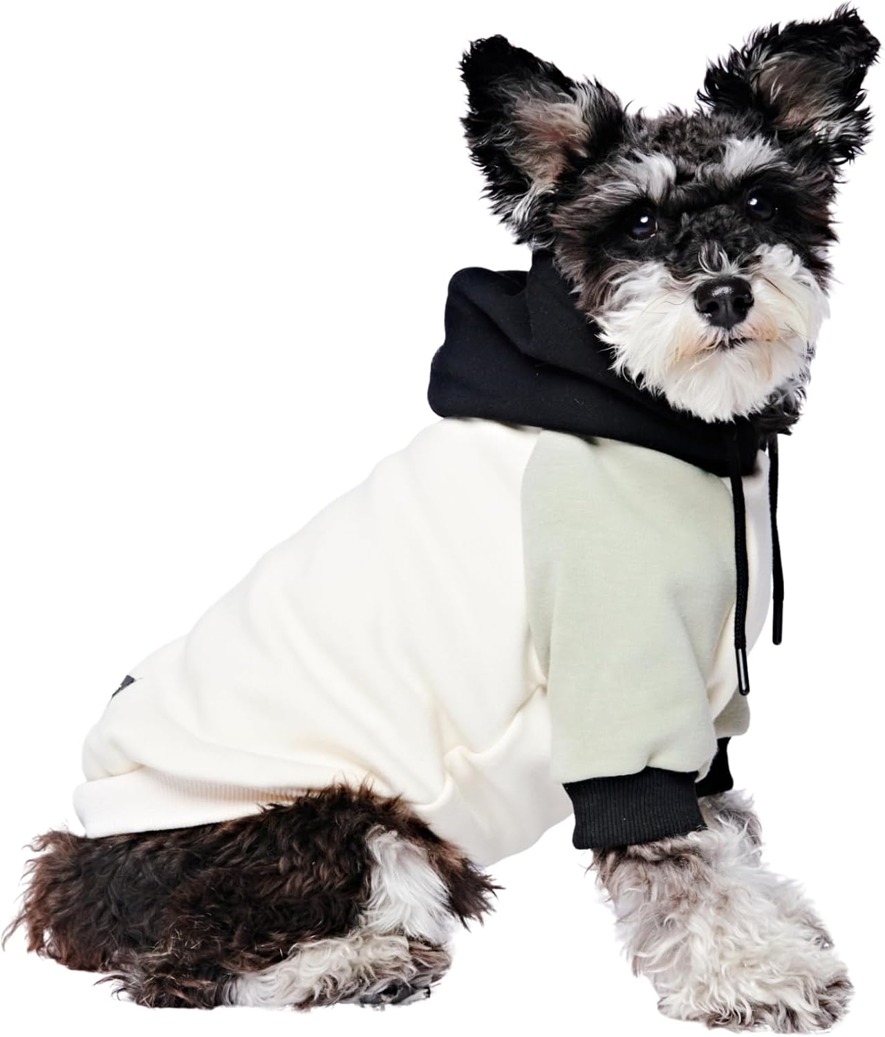 Spark Paws Dog Hoodie – Premium Dog Sweater for Small, Medium, and Large Dogs | Warm Outfits for French Bulldogs, Pitbull, Puppy, Winter Jacket Alternative - Olive Cream - S