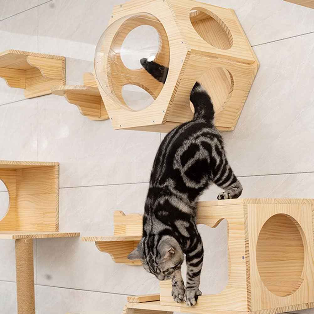 Wall Mounted Cat Bridge - 30.7" Wooden Cat Perch Ladder Hammock Cloud Shelf Activity Tree Furniture Kitty Climber Tower Condo