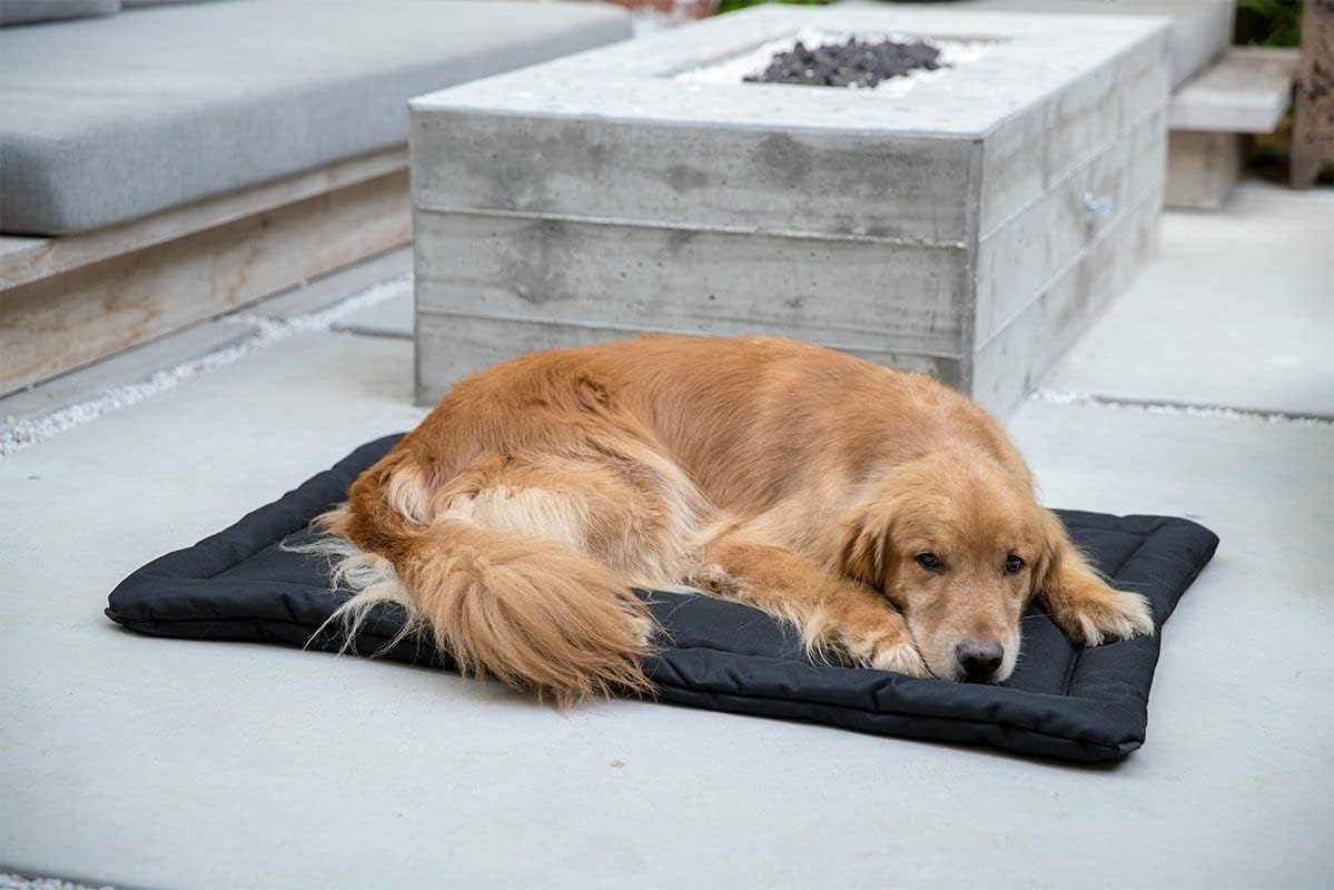 K9 Ballistics Tough Ripstop Dog Crate Pad - Durable & Machine Washable with Non-Skid Bottom and 120-Day Warranty, Fits 36" Wire Crates - Medium, Light Gray Velvet
