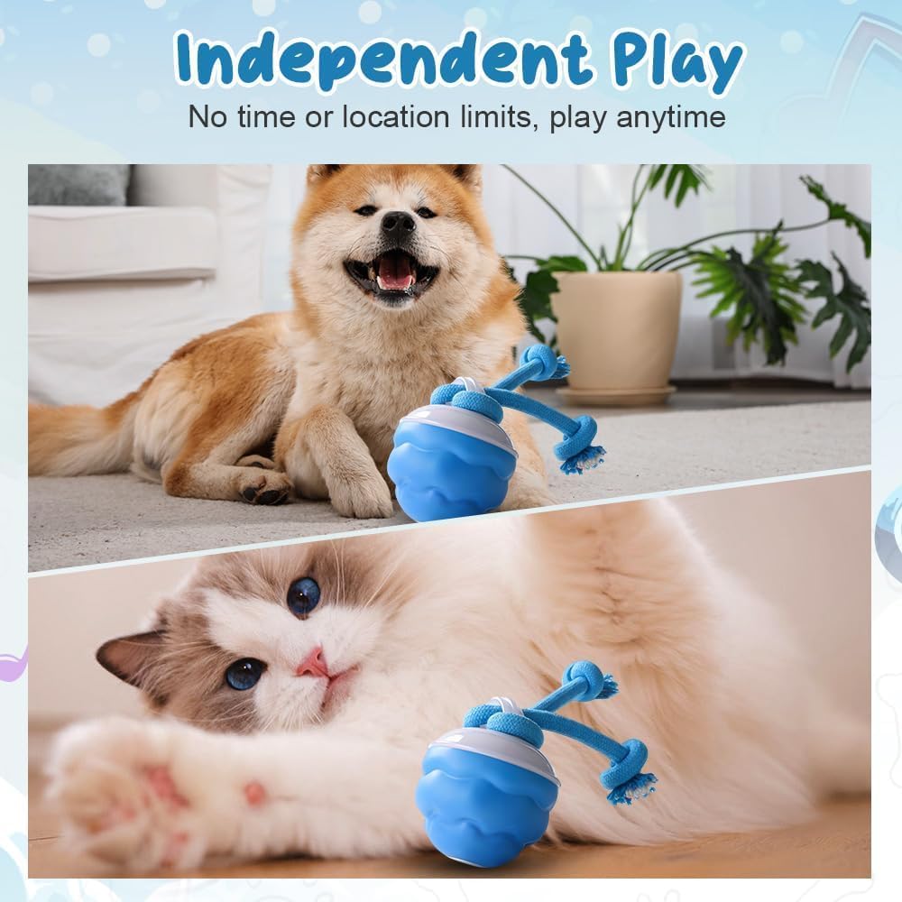 2026 New Interactive Pet Toy Ball, Smart Interactive Ball for Cats & Dogs, Electric Rolling Pet Toy Ball, Rechargeable Interactive Cat Toys for Bored Indoor Cats Kittens to Keep Busy (Orange)