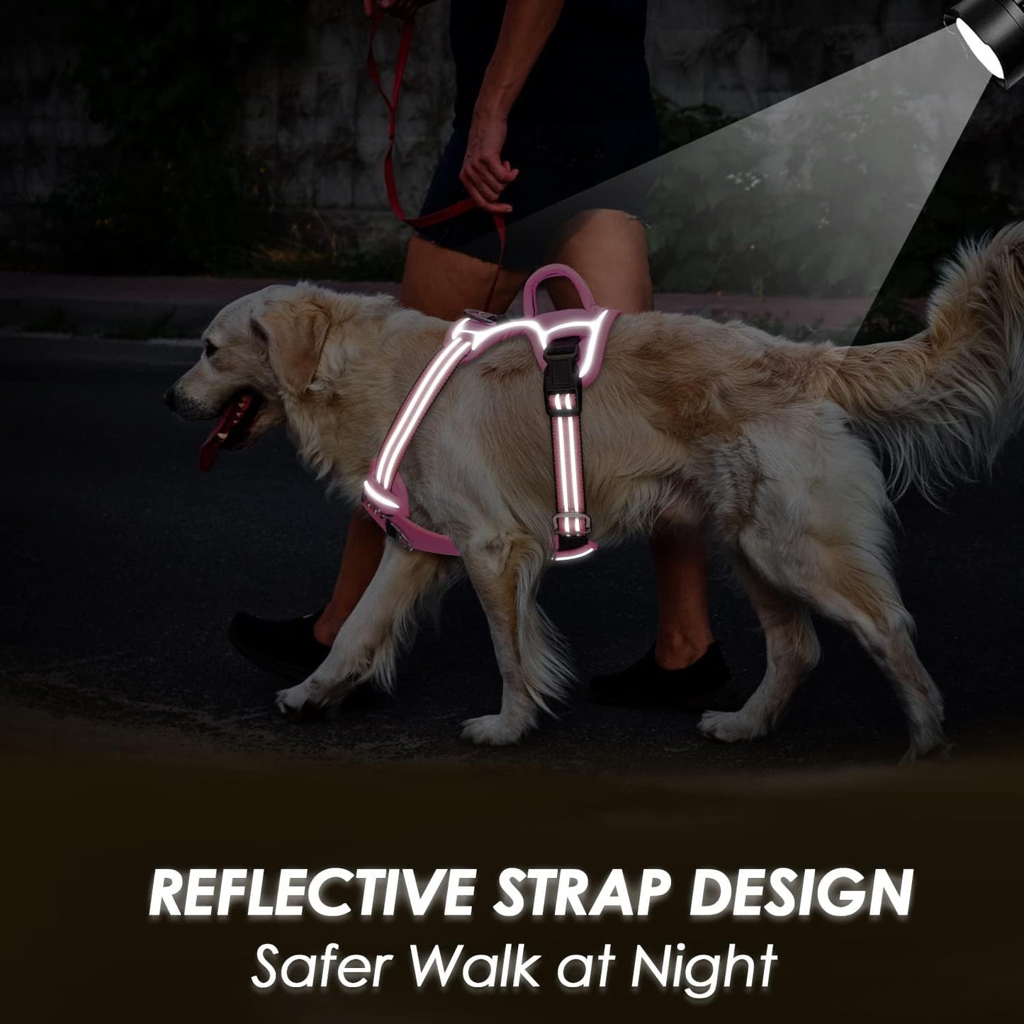 SlowTon No Pull Dog Harness, No Choke Pet Harness with 2 Leash Clips and Easy Control Vertical Handle, Adjustable Soft Padded Dog Vest for Small, Medium and Large Dogs (Pink, Medium)