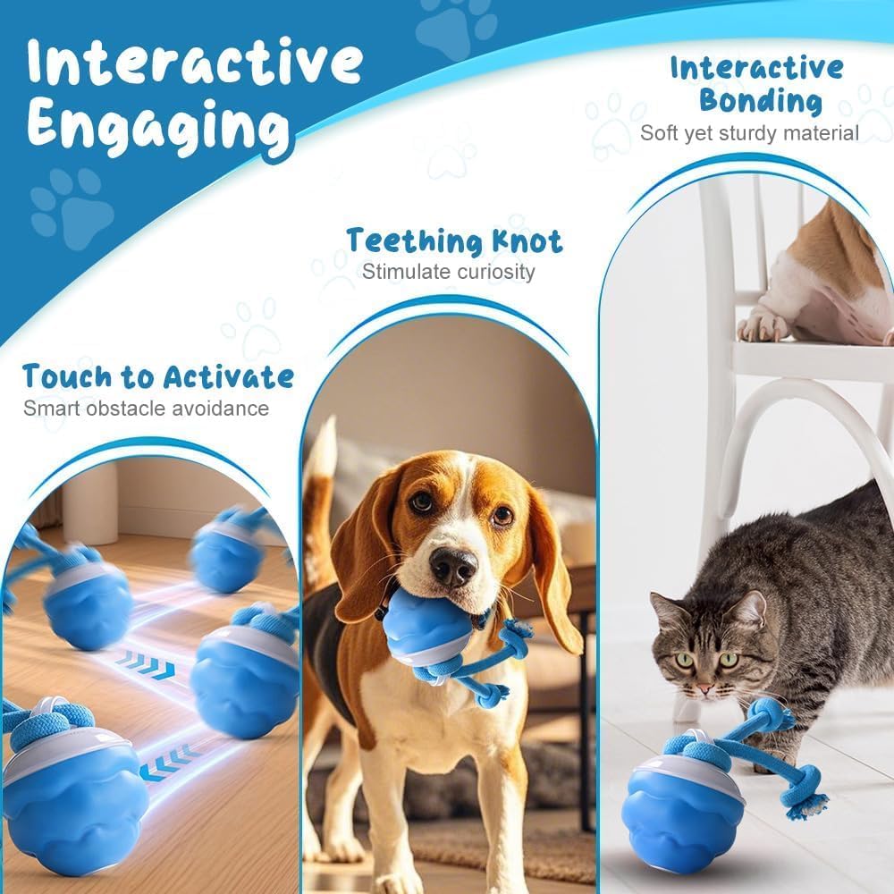 2026 New Interactive Pet Toy Ball, Smart Interactive Ball for Cats & Dogs, Electric Rolling Pet Toy Ball, Rechargeable Interactive Cat Toys for Bored Indoor Cats Kittens to Keep Busy (Orange)