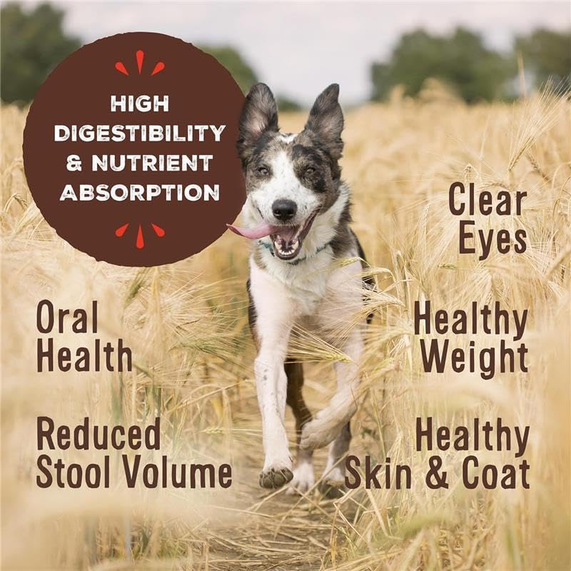 Primal Freeze Dried Raw Dog Food Nuggets, Beef, Complete & Balanced Meal, Also Use as Topper or Treat, Premium, Healthy, Grain Free, High Protein Raw Dog Food, 14 oz