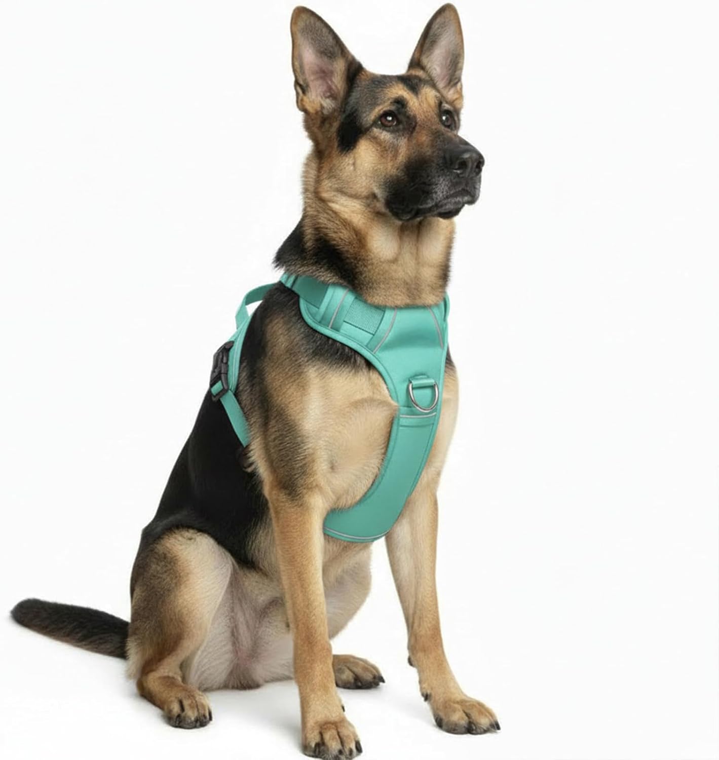 No Pull Dog Harness with 2 Leash Clips, Adjustable Soft Padded Reflective Oxford Pet Vest with Easy Control Handle for Large Dogs (Turquoise, Medium)