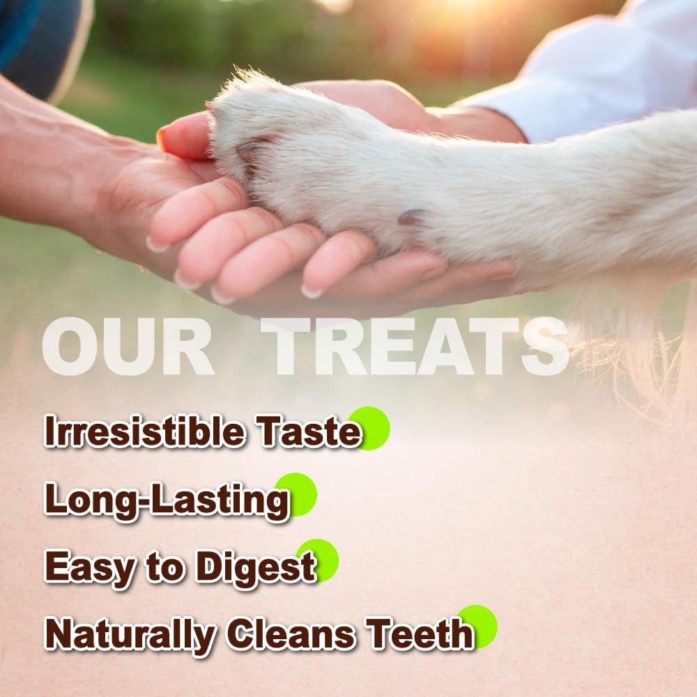 AFreschi Turkey Tendons for Dogs, USA-Sourced, Healthy Dog Treats, Rawhide-Free Puppy Chews, Long Lasting, All Natural, Hypoallergenic Dog Treats for Large Breeds, 10 Count Box Bone (L)