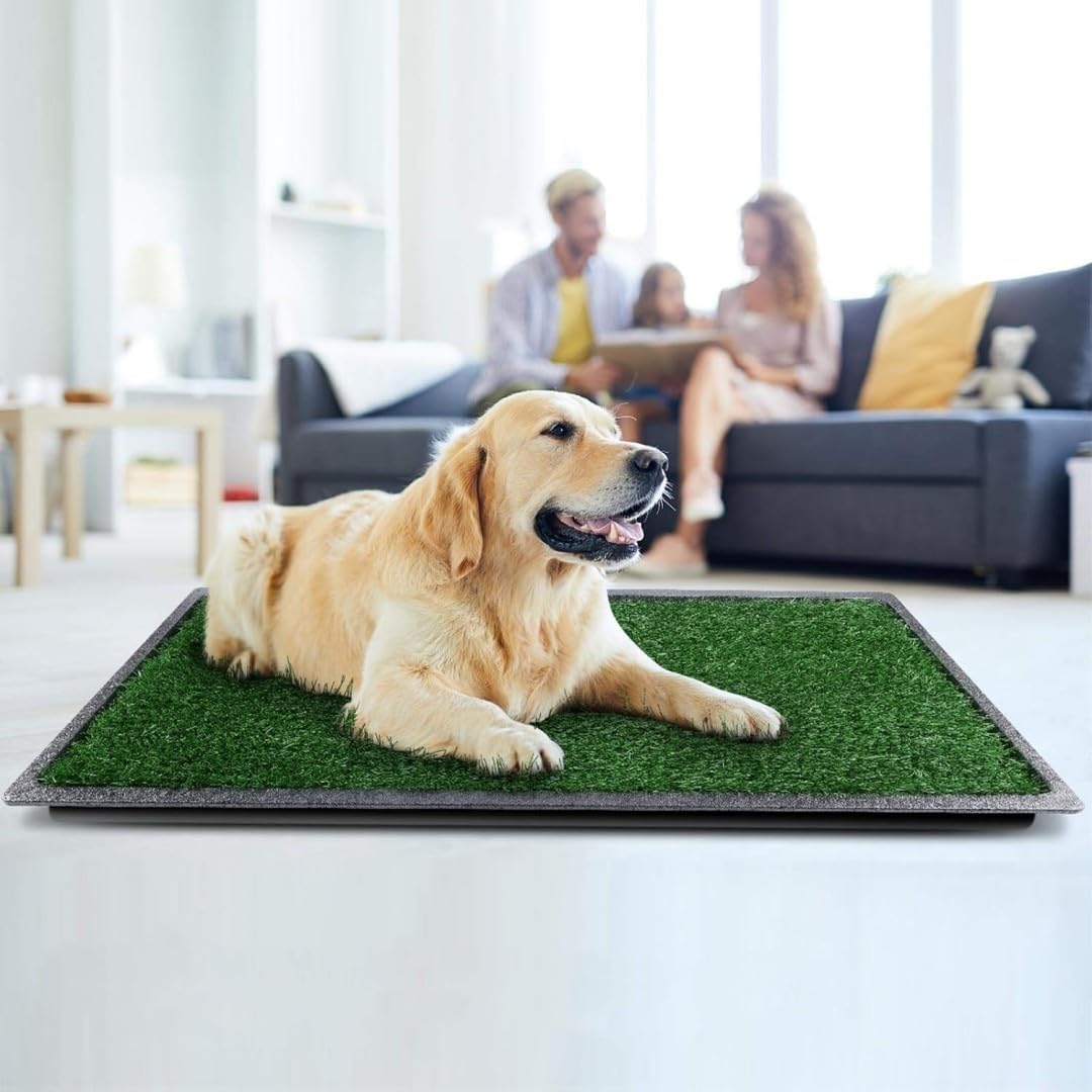Dog Grass Puppy Training Pee Pad with Tray, Dog Potty with 2 Replacement Artificial Grass Pads, Portable Pet Toilet Washable Odor Free Little Box Indoor Outdoor Use