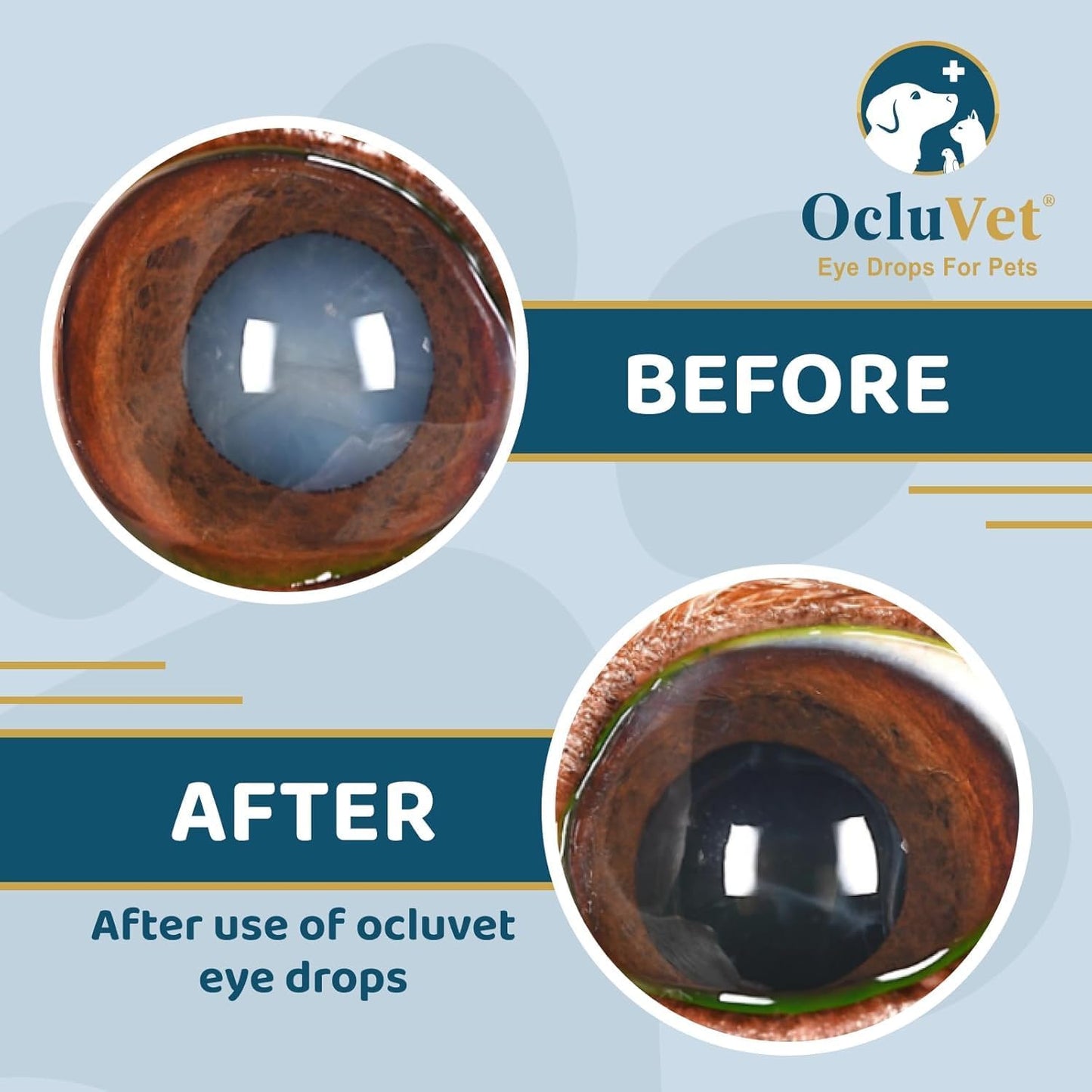 Eye Drops for Pets | Clinically Studied Antioxidants for Pets | Made in The USA | Includes 2% N-Acetyl-L-Carnosine (NAC) | 16mL - 2 Pack