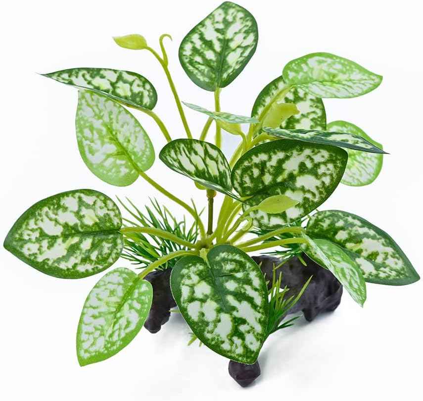 Reptile Artificial Plants, Terrarium Plants Decorations Supplies, Amphibian Habitat Hideout Tank Accessories, Rainforest Ground Plant