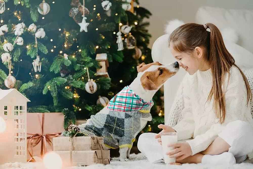 Lionet Paws Christmas Dog Bandana,Fabric Dogs Kerchief for Medium Large Dogs,Dog Cotton Triangle Bibs Scarf for Girl Boy