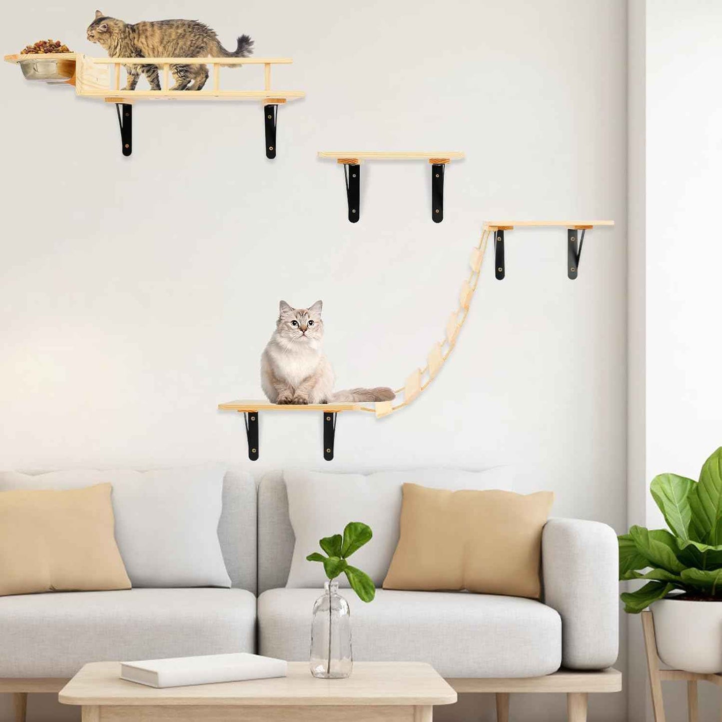 TIMIEEYA Cat Wall Shelves - Stable & Safe 5 in 1 Cat Walls Furniture Set, Wooden Kitten Climbing Wall with Bridge Ladder & Wall Steps