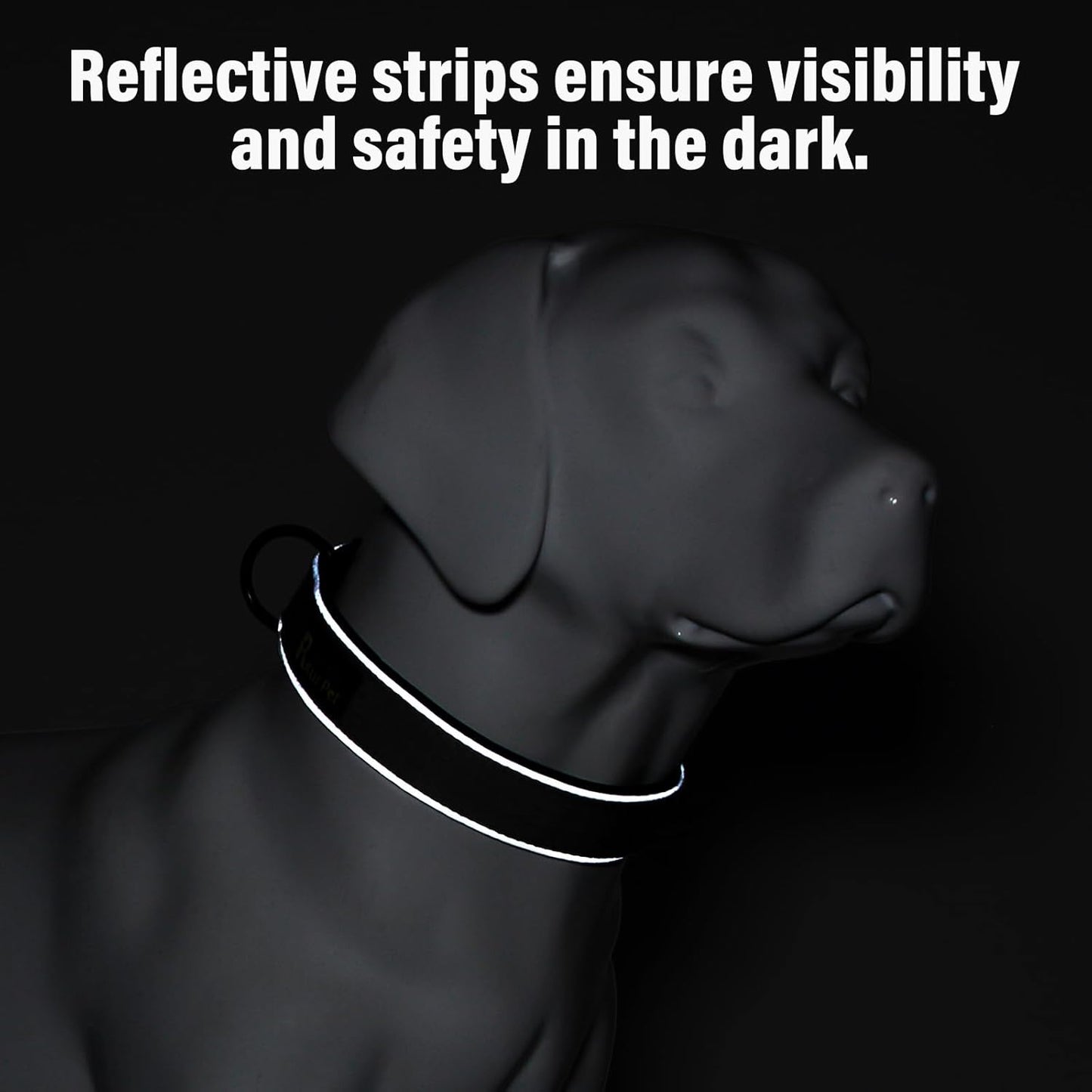 Plutus Pet Tactical Dog Collar, Reflective, Adjustable Heavy Duty Dog Collar, Soft Padded and Comfortable, for Small Medium and Large Dogs (Cyan, XL)