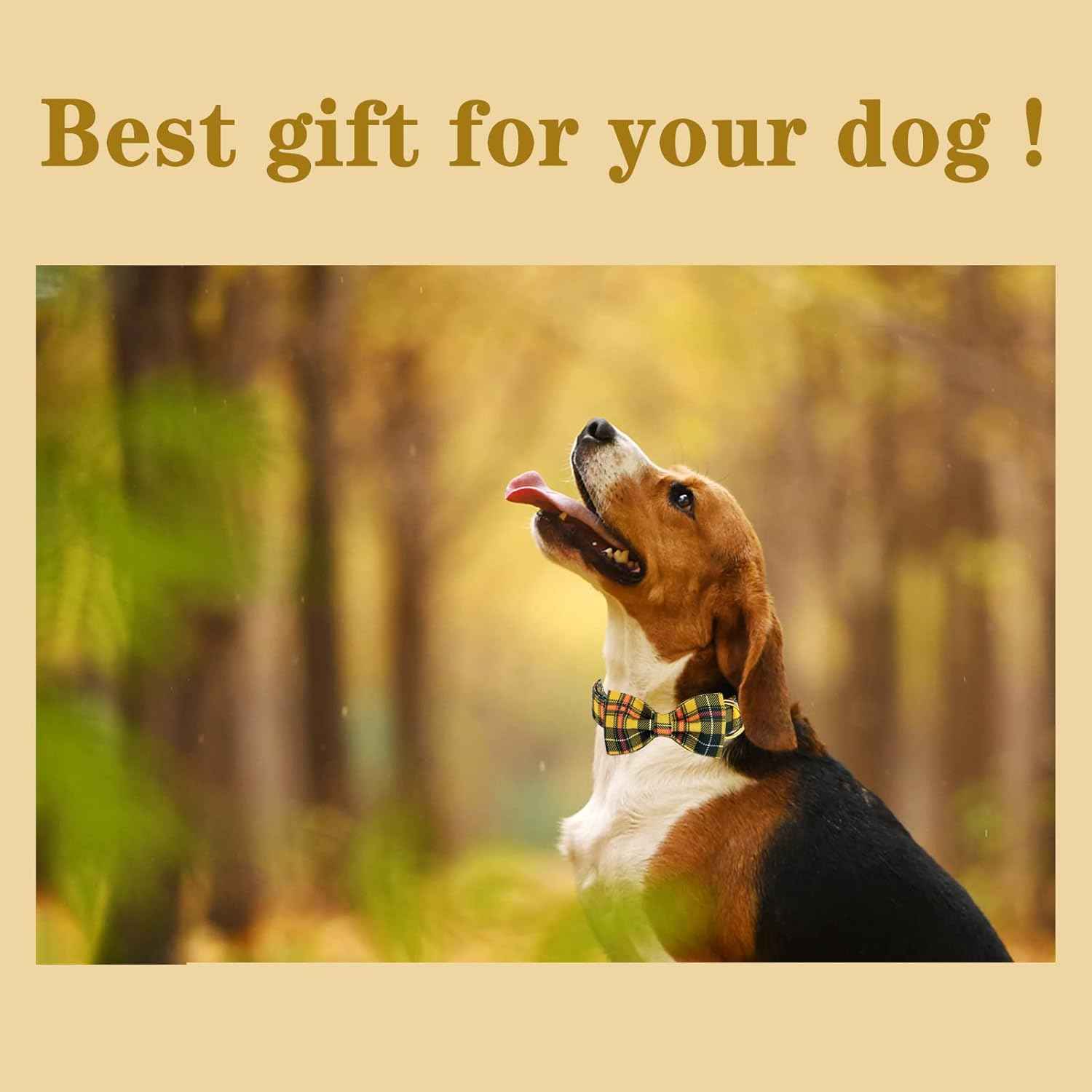 Unique style paws Bowtie Dog Collar Cotton Plaid Collar Adjustable Puppy Collar for Small Medium Large Dogs-M