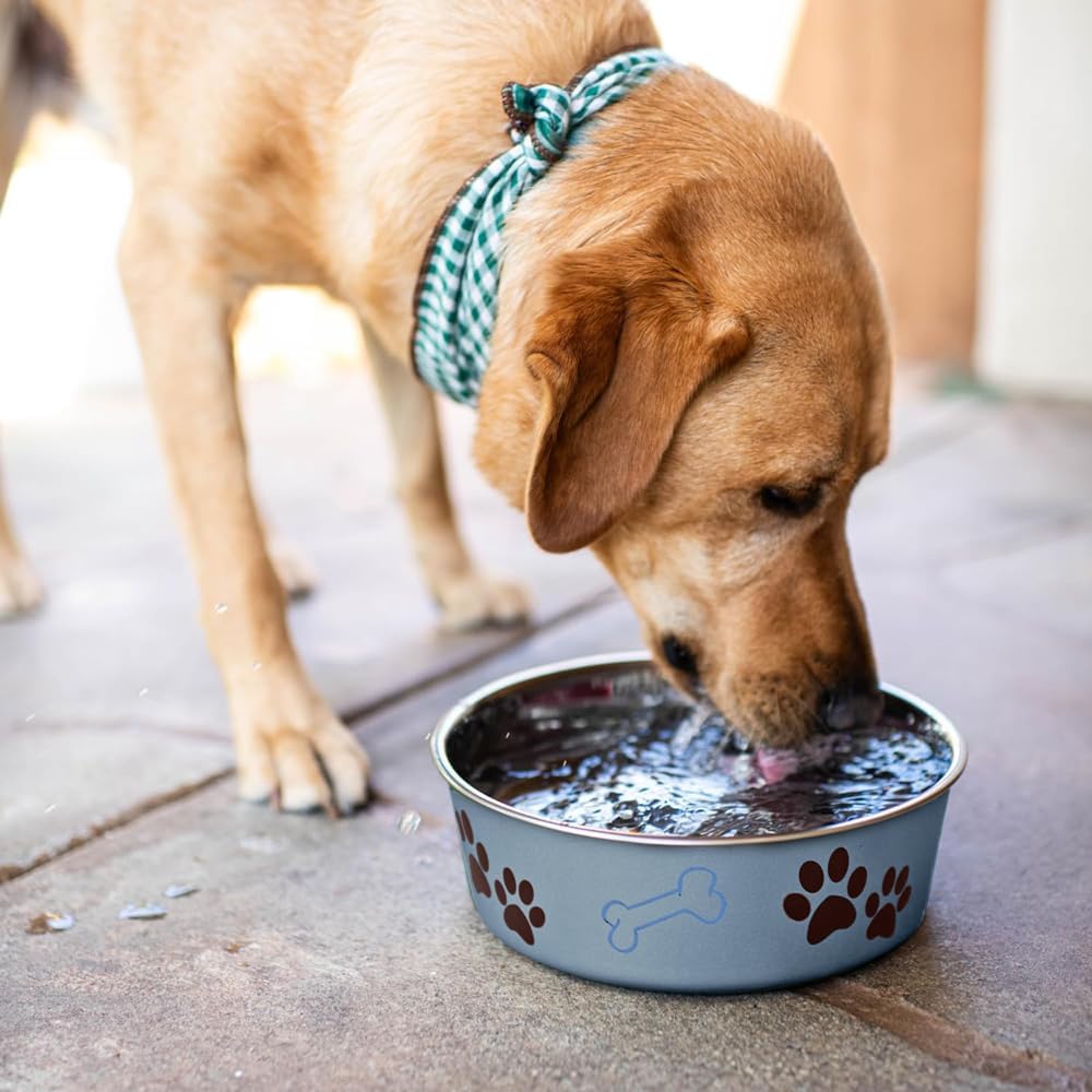 Loving Pets - Bella Bowls - Dog Food Water Bowl No Tip Stainless Steel Pet Bowl No Skid Spill Proof (Medium, Blueberry Blue)
