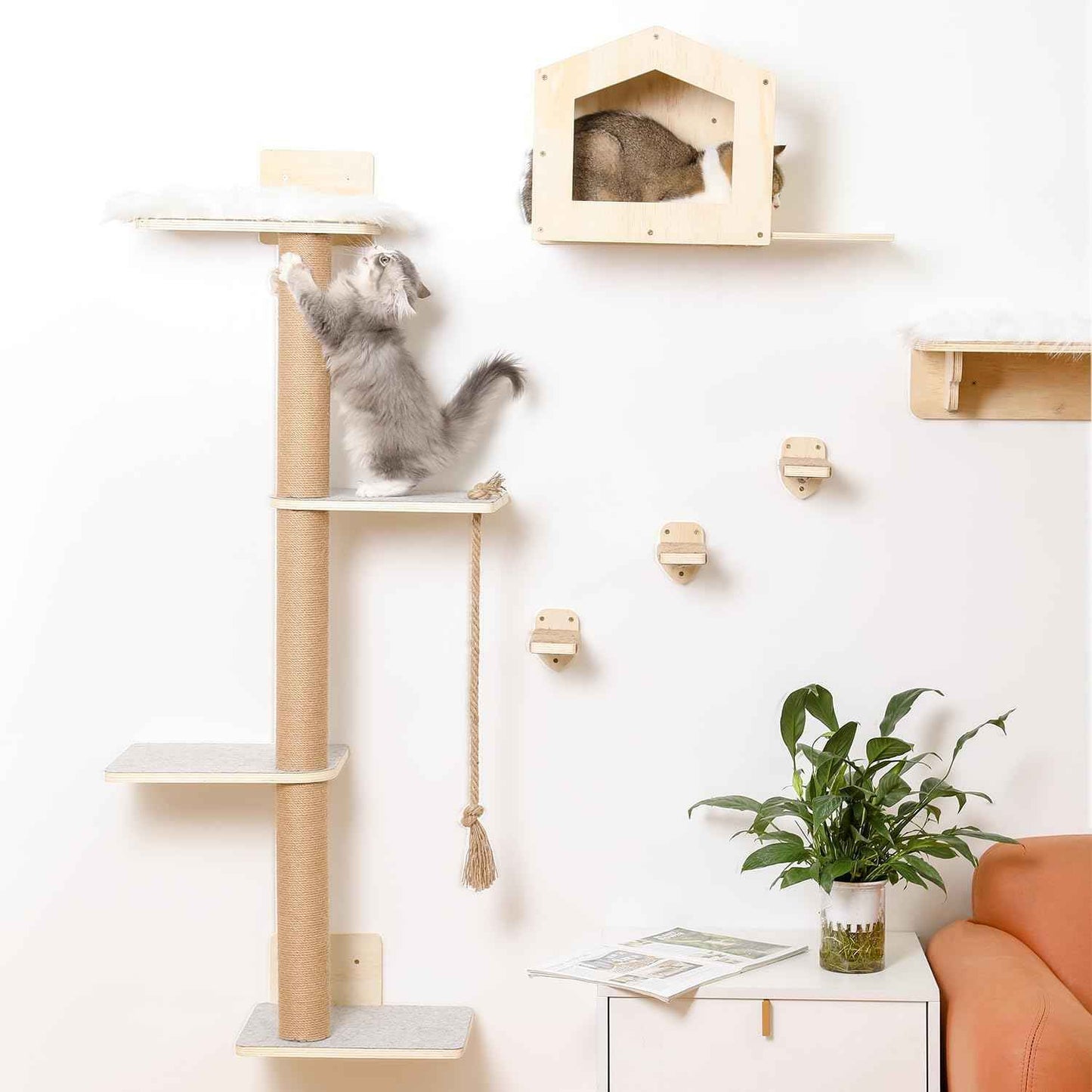 Cat Wall Shelves, Wood Wall Mounted Cat Furniture with 4 Tier Cat Tree,1 Cat Wall House,2 Cat Perches and 3 Wall Steps,Climbing Cat Shelves for Wall Large Cats Set
