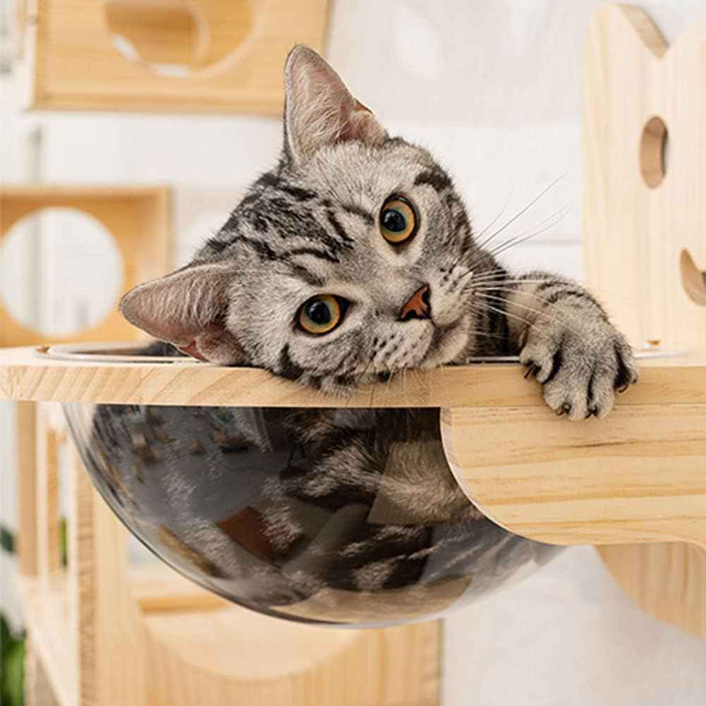 Wall Mounted Cat Bridge - 30.7" Wooden Cat Perch Ladder Hammock Cloud Shelf Activity Tree Furniture Kitty Climber Tower Condo