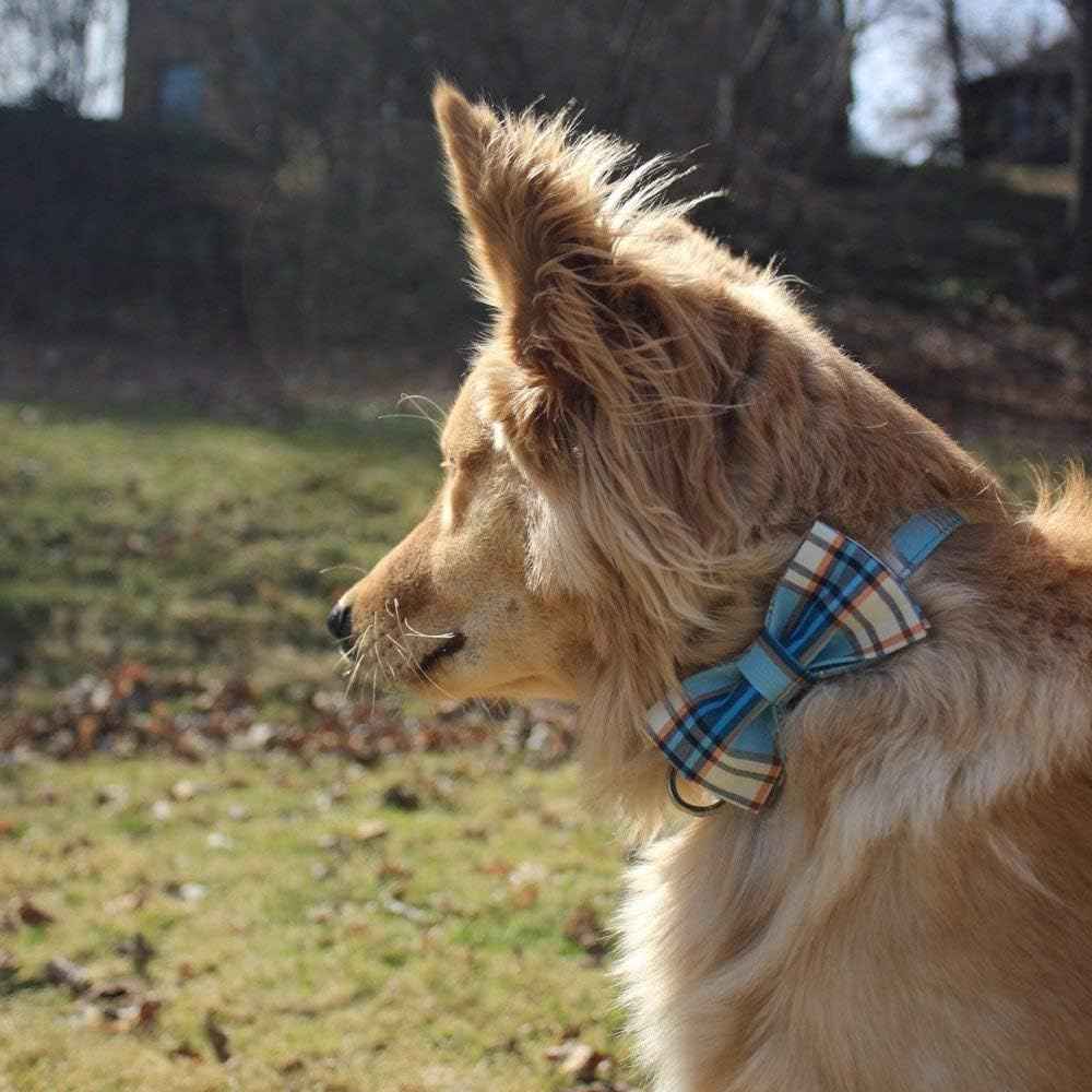 Lionet Paws Boy Dog Collar with Bowtie, Comfortable Adjustable Cute Blue Plaid Bow Tie Collar for Male Dogs Gift, Small, Neck 10-16 inches