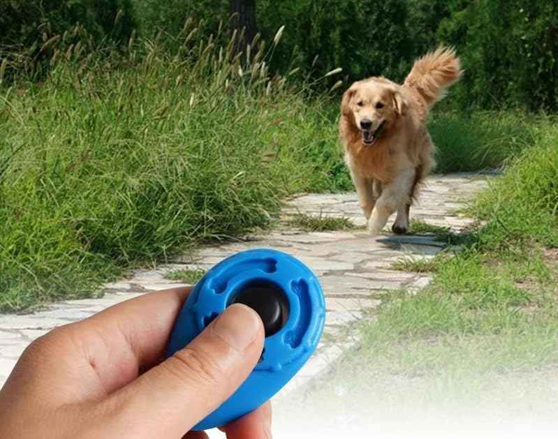 Dog Training Clicker with Wrist Strap, Lightweight Easy to Use, Pet Training Clicker for Cats Puppy Birds Horses