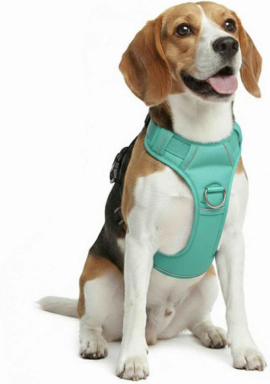 No Pull Dog Harness with 2 Leash Clips, Adjustable Soft Padded Reflective Oxford Pet Vest with Easy Control Handle for Large Dogs (Turquoise, Medium)