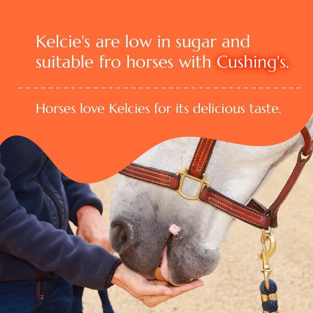 Horses Treats - Low Sugar, Starch, and Carbohydrates | Healthy Treats for Horse Supports Superior Digestion 2 Pounds (1 Pack)