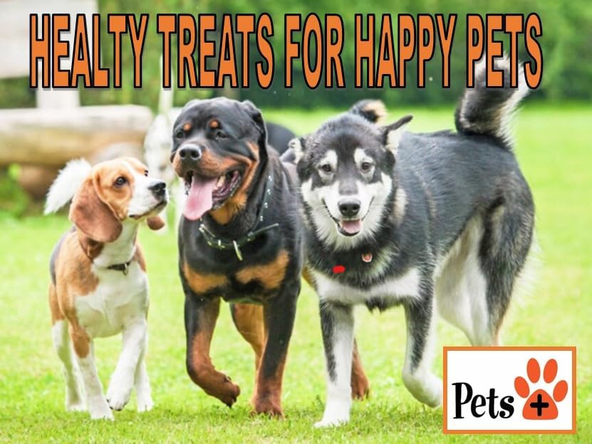 Pets Plus Premium Dog Treats – Chicken Jerky, 6 oz | All-Natural, High-Protein Dog Chews, Grain-Free Healthy Treats for Training, Rewards & Dental Support