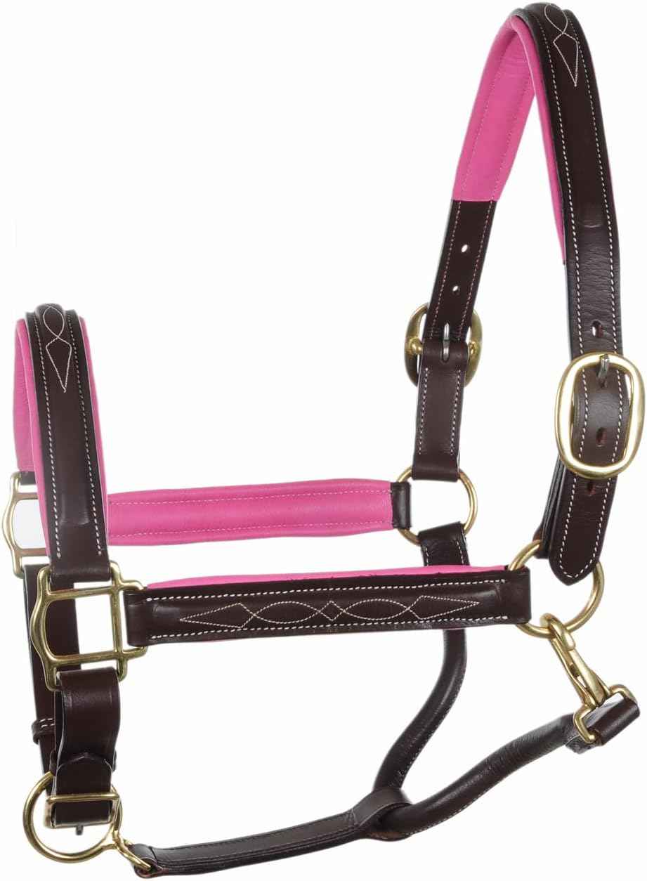 SIE Padded Leather Horse Halter with Brass Hardware and Raised Fancy Stitching