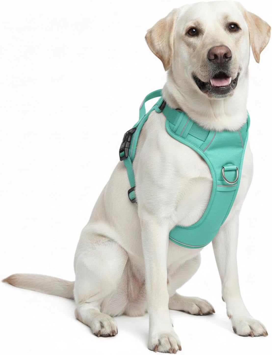 No Pull Dog Harness with 2 Leash Clips, Adjustable Soft Padded Reflective Oxford Pet Vest with Easy Control Handle for Large Dogs (Turquoise, Medium)