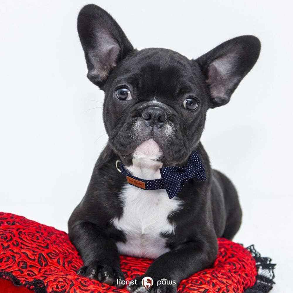 Lionet Paws Boy Dog Collar with Bowtie, Comfortable Adjustable Cute Navy Blue Bow Tie Collar for Male Dogs Gift, Large, Neck 16-24 inches