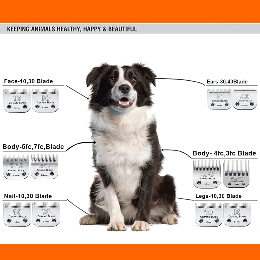 5PCS 10 Blades Dog Grooming Replacement Blades Compatible with Andis Pet Clipper/Oster A5/Wahl KM Series Dog Clipper,Ceramic Blade & Stainless Steel Blade, Size ：#10+30+40+5FC+4FC