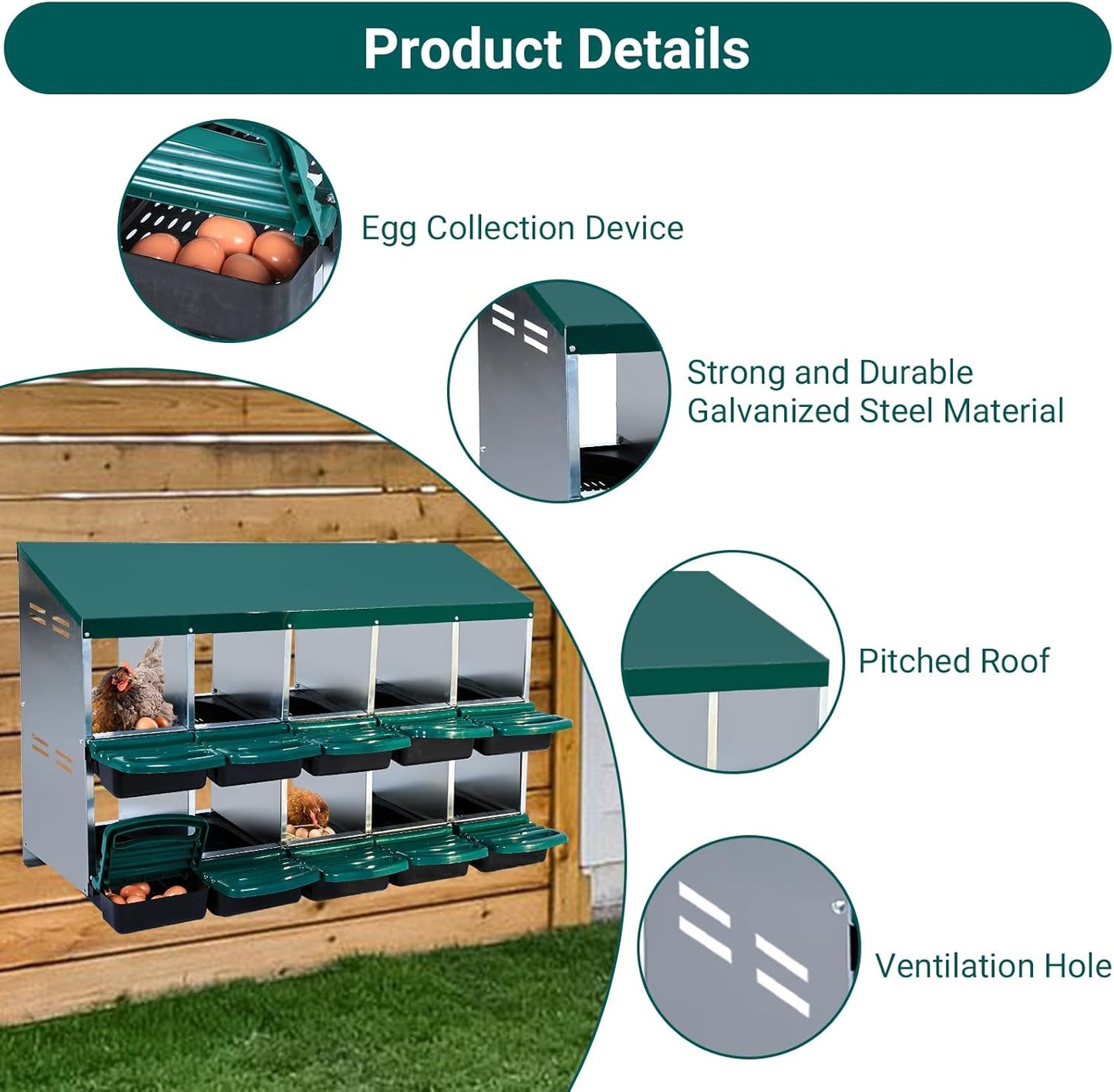 Garvee Chicken Nesting Boxes, 10 Hole Metal Chicken Laying Box with Removable Trays and Roll Out Egg Collection for Chicken Coop, Green