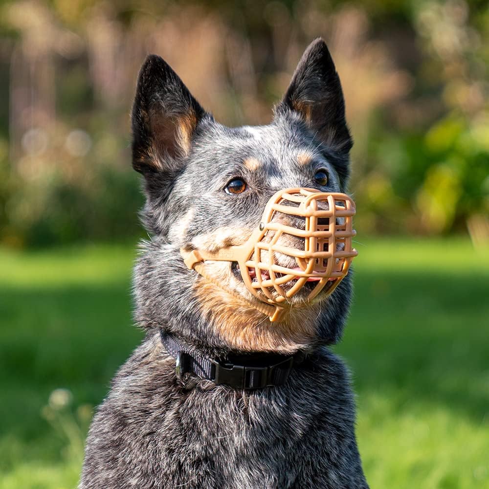 Safe Baskerville Anti SCAVENGE Muzzle, Size 5, Dog can Pant and Drink, Prevents Biting and Food Waste Scavenging, Ideal for Longer Nosed Dogs, Breathable Dog Training Muzzle for Medium Dogs