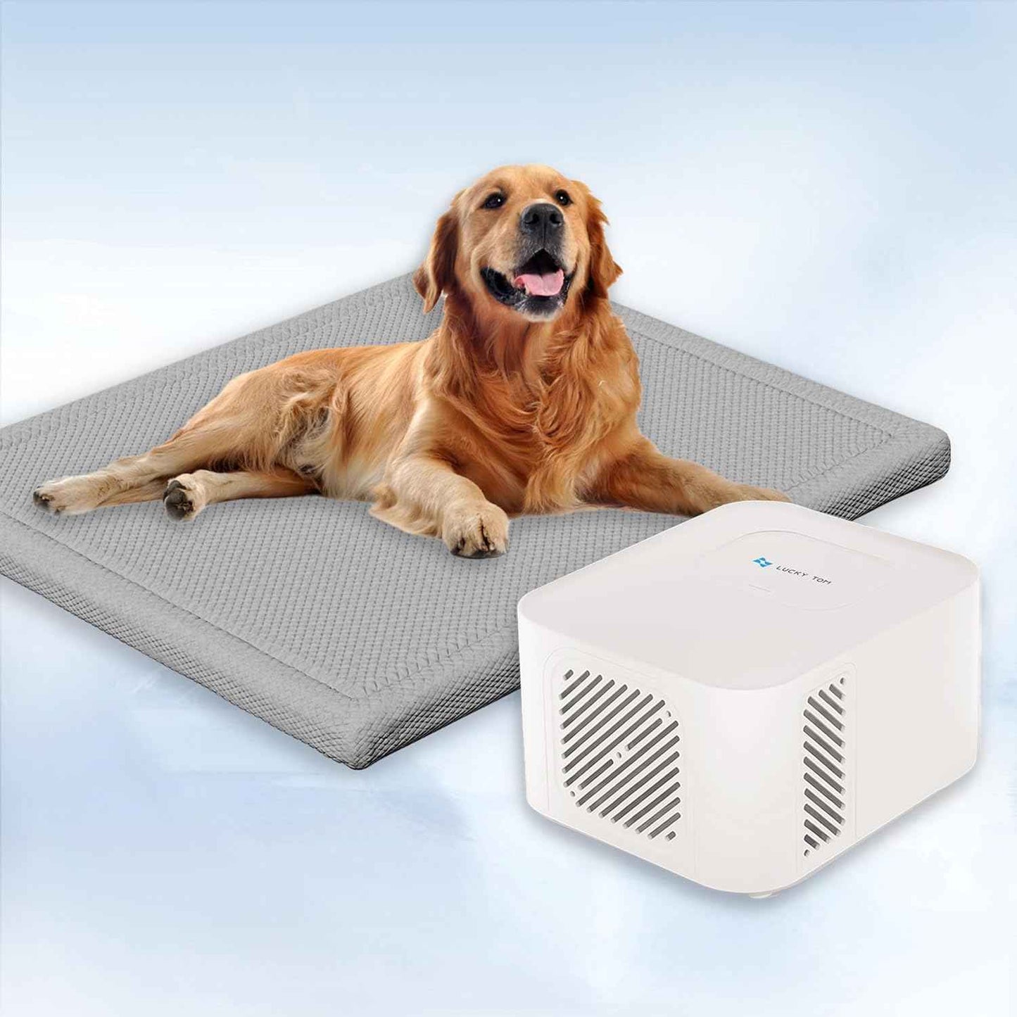 Pet Pad Cooling System for Summer, Consistent Cooling Water Mat for Dogs and Cats, No Refrigeration or Chemical Gel Needed, Machine Washable Bed, Ideal for Home and Crates (Gray, XL)