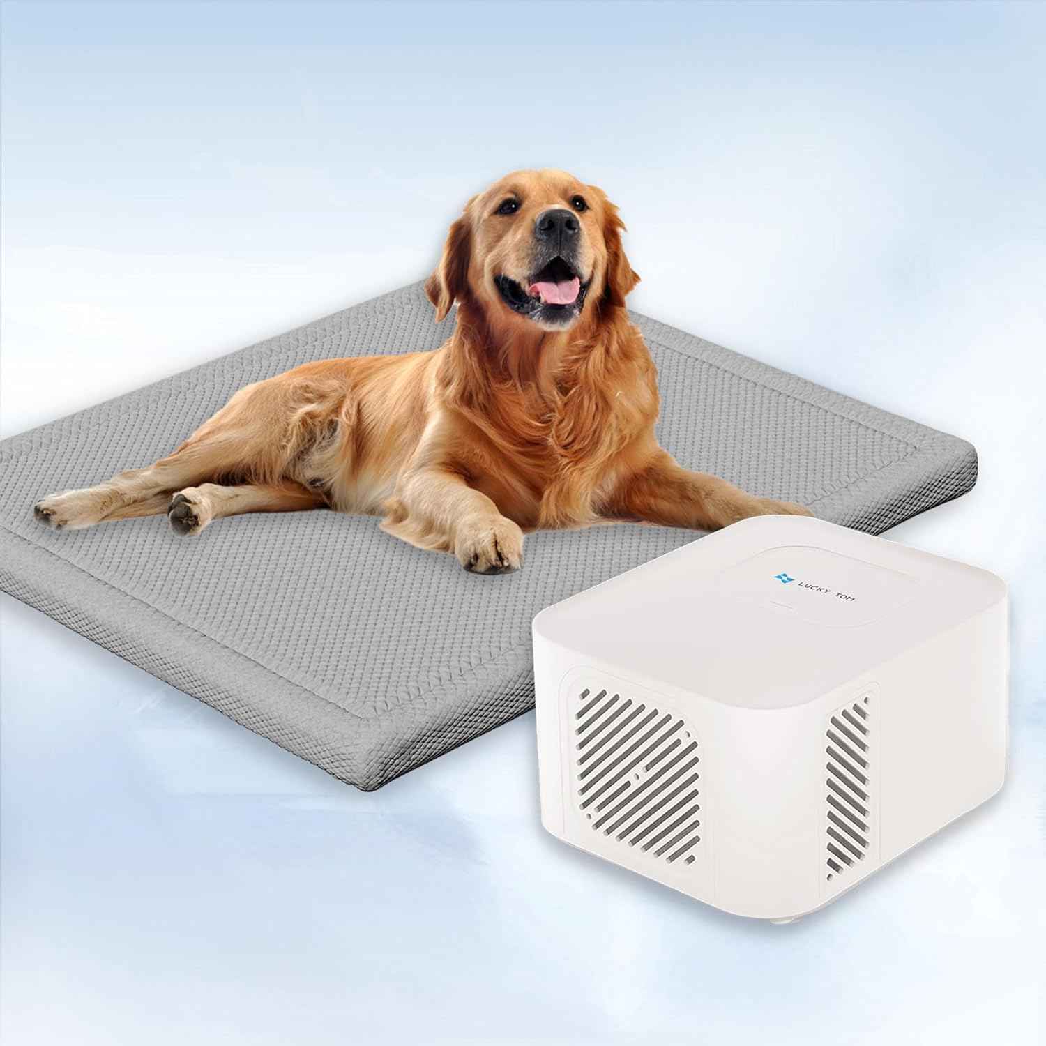 Pet Pad Cooling System for Summer, Consistent Cooling Water Mat for Dogs and Cats, No Refrigeration or Chemical Gel Needed, Machine Washable Bed, Ideal for Home and Crates (Gray, XL)