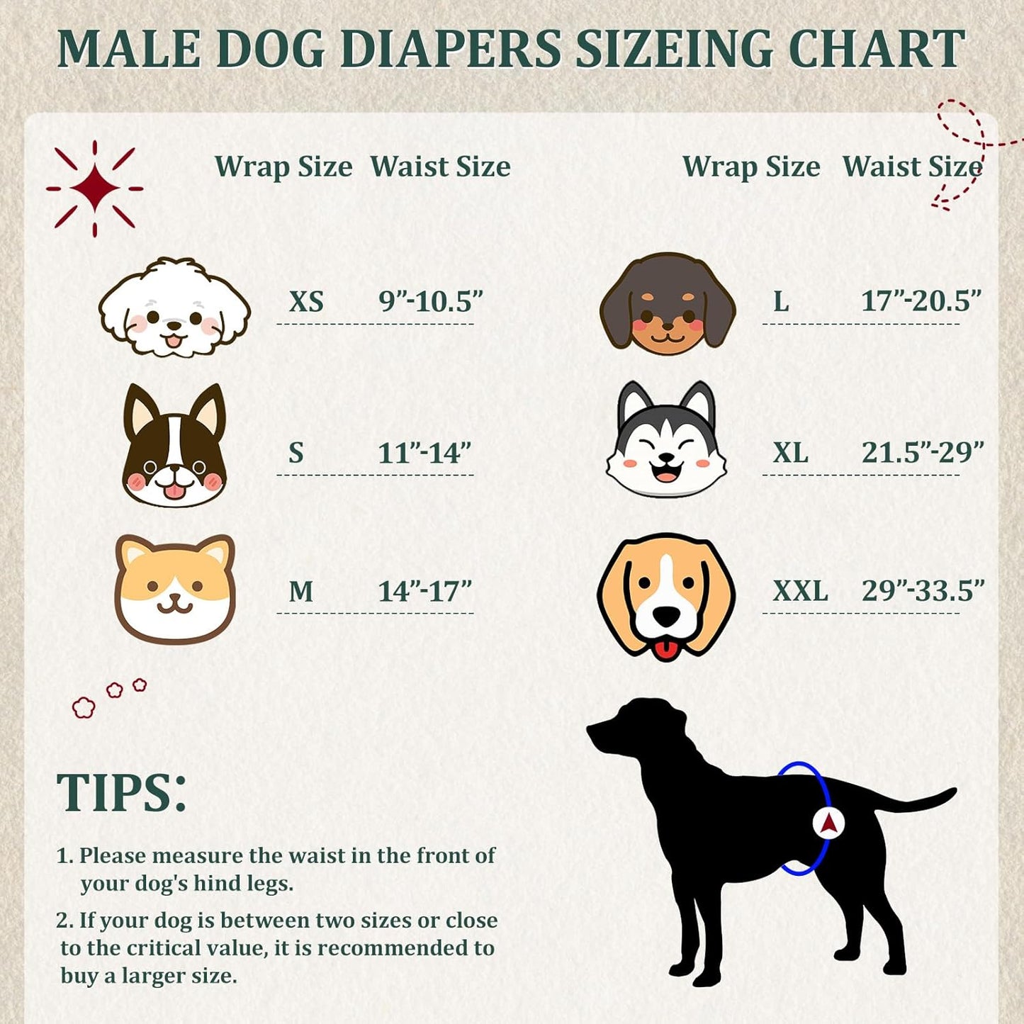 Reusable Dog Diapers Male, Premium Washable Belly Bands for Male Dogs, Pack of 5, High Absorbing Large Male Dog Wraps for Doggie & Puppy in Incontinence or Excitable Urination and Training(L)