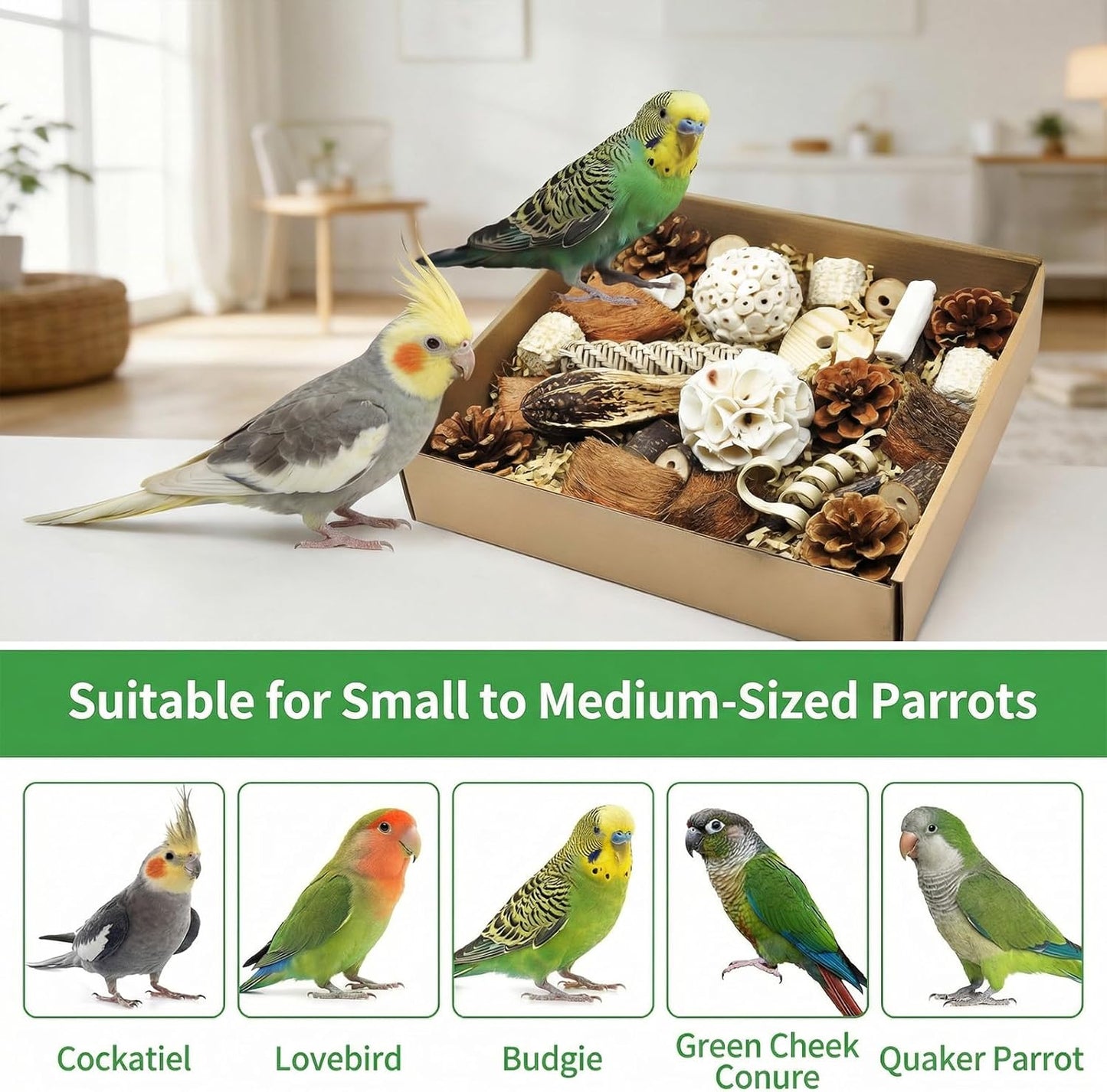 Bird Parrot Toy, Natural Bird Foraging Toy, Suitable for Cockatiels, Lovebirds, budgerigars, Small to Medium-Sized Birds (Large Size)