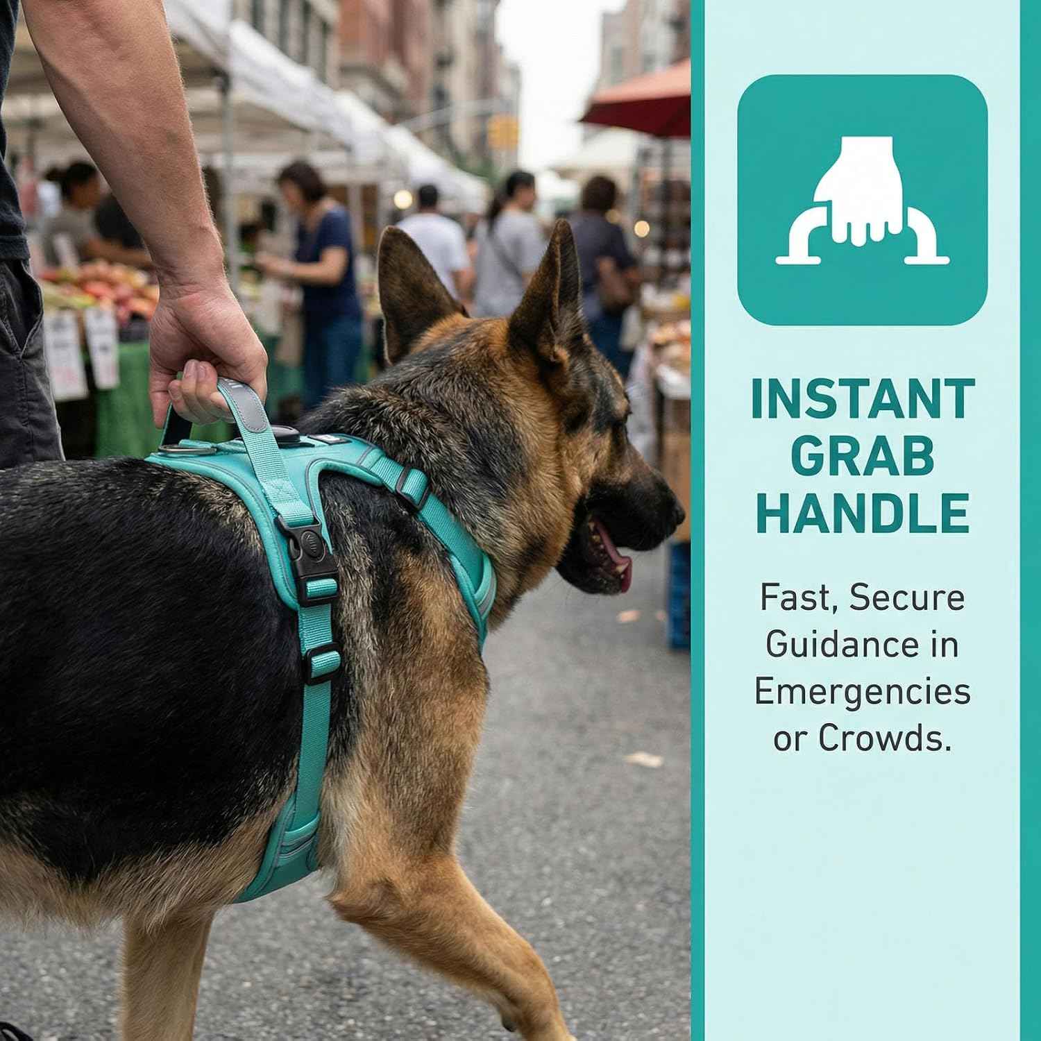 No Pull Dog Harness with 2 Leash Clips, Adjustable Soft Padded Reflective Oxford Pet Vest with Easy Control Handle for Large Dogs (Turquoise, Medium)