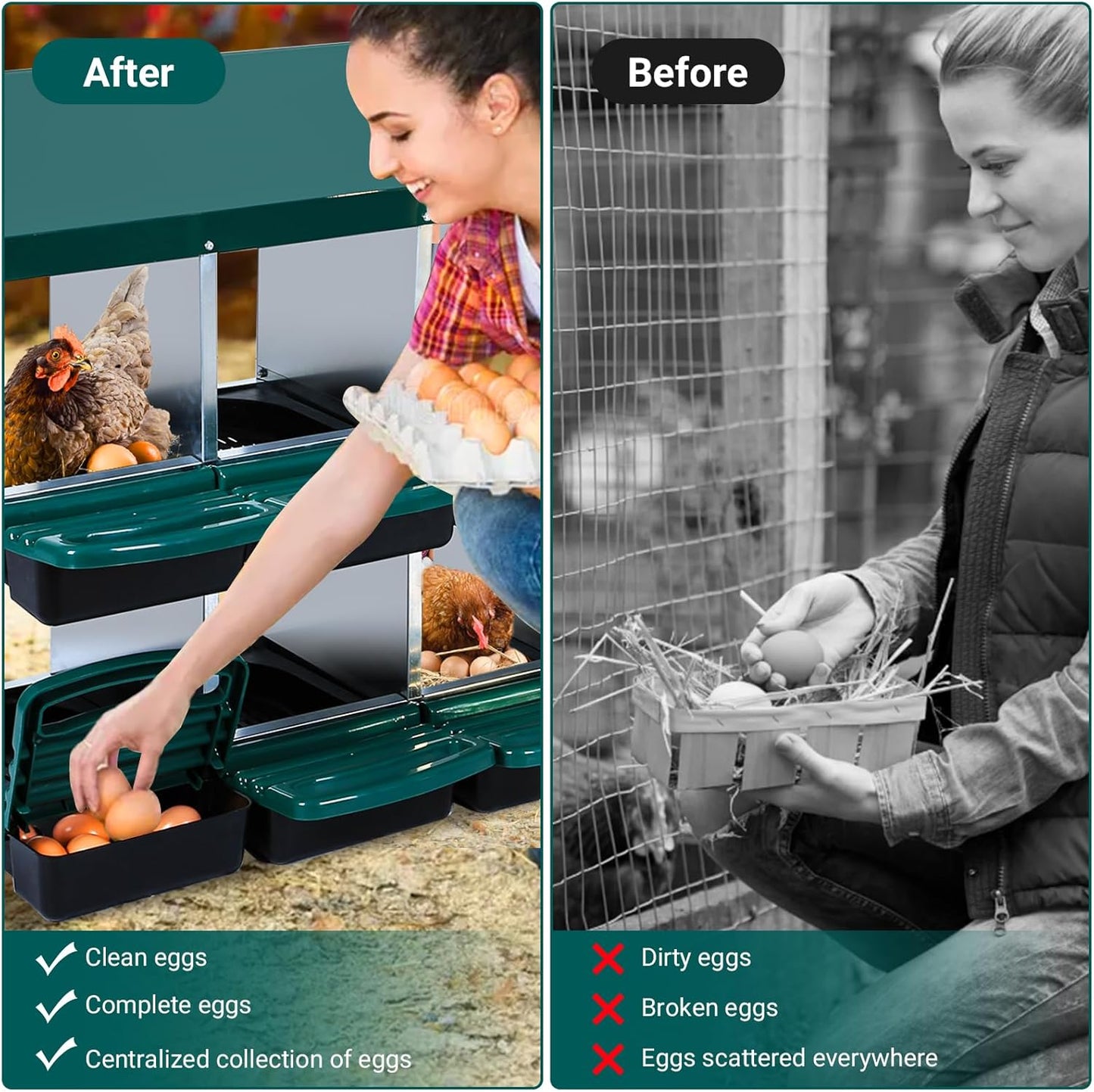Garvee Chicken Nesting Boxes, 10 Hole Metal Chicken Laying Box with Removable Trays and Roll Out Egg Collection for Chicken Coop, Green