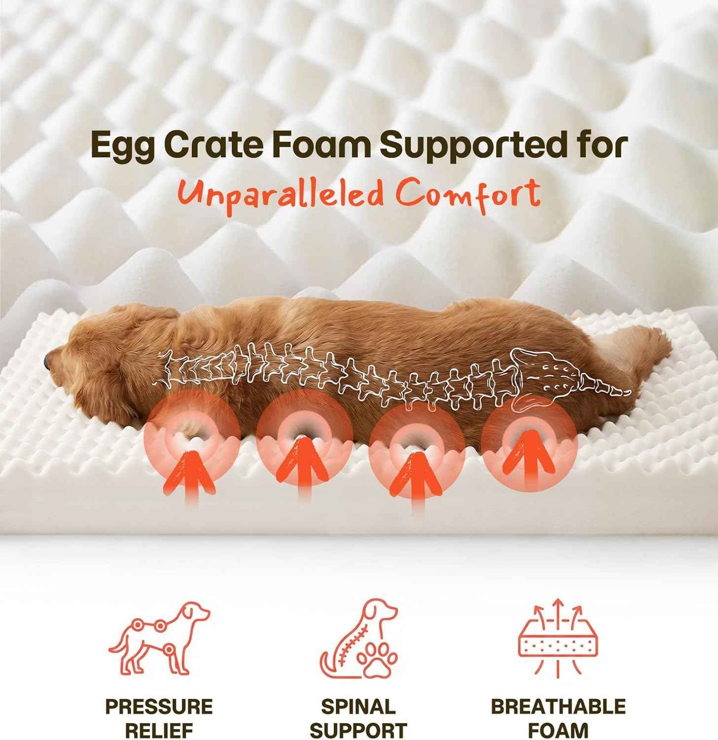 Dog Bed for Crate, Extra Large Cooling Mat for Dogs, Waterproof Dog Bed with Dual Surface Removable Washable Covers, 36 x 27 Inch Pet Bed with Egg Crate Foam