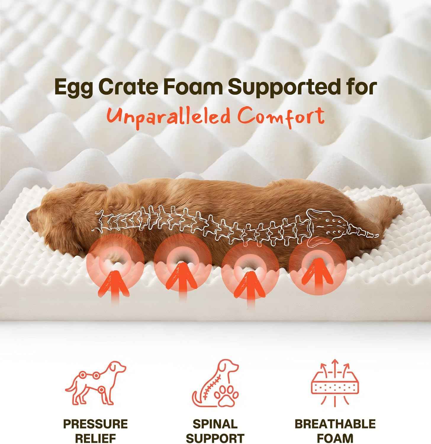 Dog Bed for Crate, Extra Large Cooling Mat for Dogs, Waterproof Dog Bed with Dual Surface Removable Washable Covers, 36 x 27 Inch Pet Bed with Egg Crate Foam