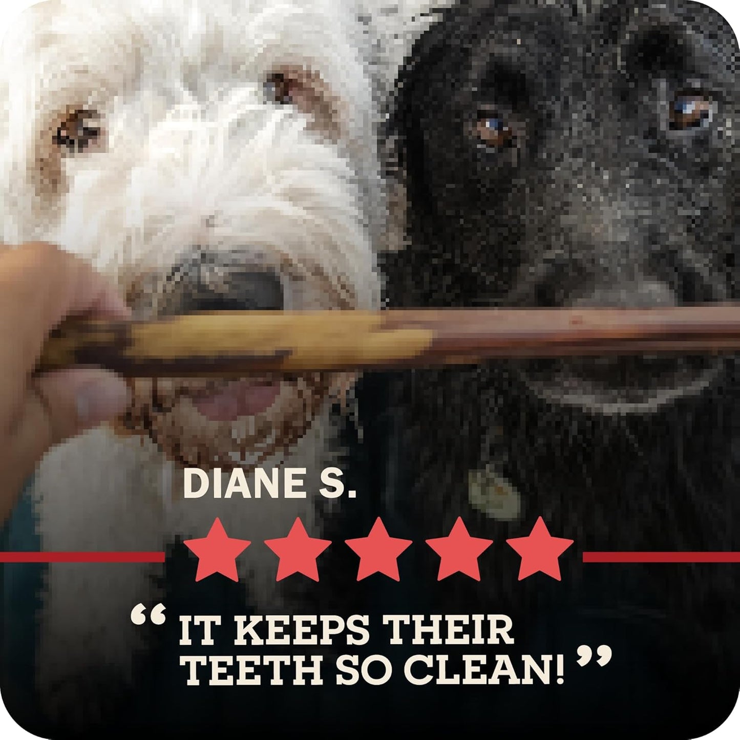 Redbarn Premium Bully Sticks for Dogs - 7 Inch, 6 Count - Long Lasting, Rawhide-Free, Slow Roasted, Low Odor & Highly Digestible, Single Ingredient Chews & All-Natural Dental Treats for Chewers