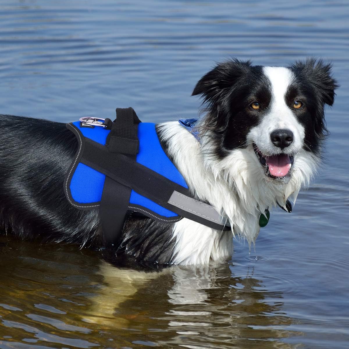 Bolux Dog Harness, No-Pull Reflective Dog Vest, Breathable Adjustable Pet Harness with Handle for Outdoor Walking - No More Pulling, Tugging or Choking (Blue, L)