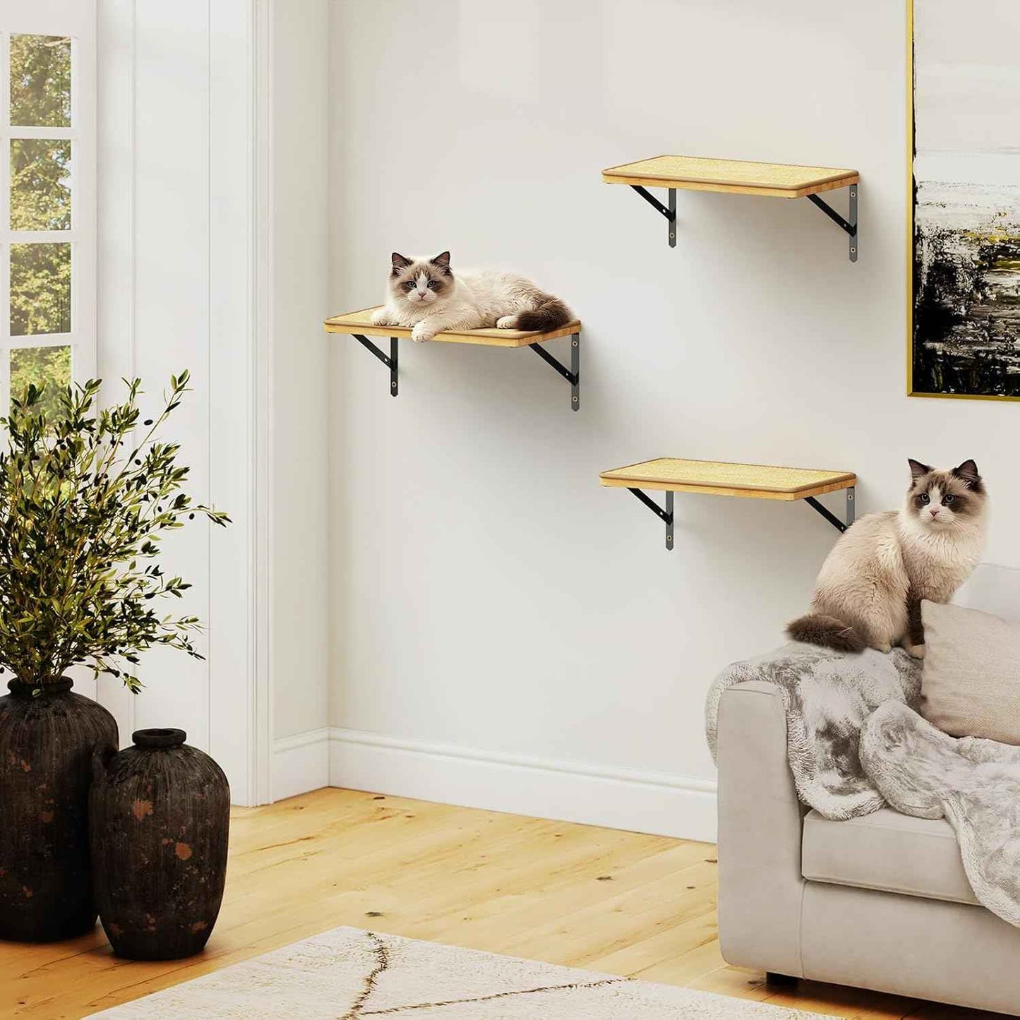 3Pcs 14"×8" Large Cat Wall Shelves - Wall Mounted Cat Shelves, Natural Wood with Fixtures for Large Cats and Kittens for Household Pets Sleeping, Playing, Climbing
