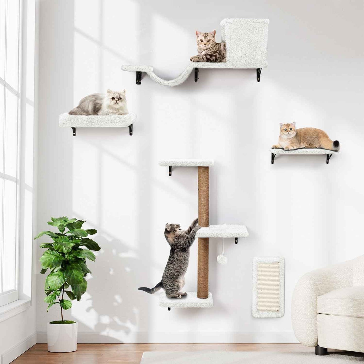 5-in-1 Cat Wall Shelves, Multi-Level Cat Climbing Furniture, Perch & Lounge for Indoor Cats, Space-Saving Wall Mounted Shelves for Play & Rest (Natural Wood) - White