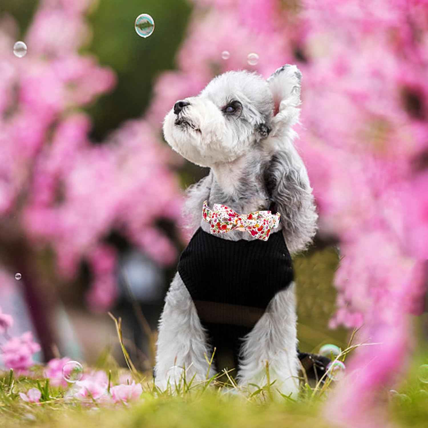 Elegant little tail Dog Collar, Pink Rose Print Pet Collar Summer Dog Collar Durable Metal Buckle Dog Collars Cotton Pet Adjustable Dog Collars for Medium Dogs
