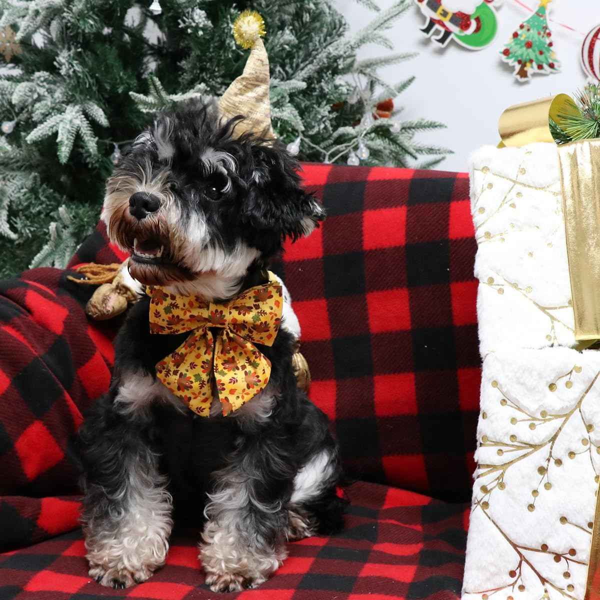 Lionet Paws Thanksgiving Day Dog Collar with Bowtie, Dogs Sailor Bow Collar with Metal Buckle for Dogs, Adjustable Comfortable Dog Collars Girl, M, Neck 13.5-22 in
