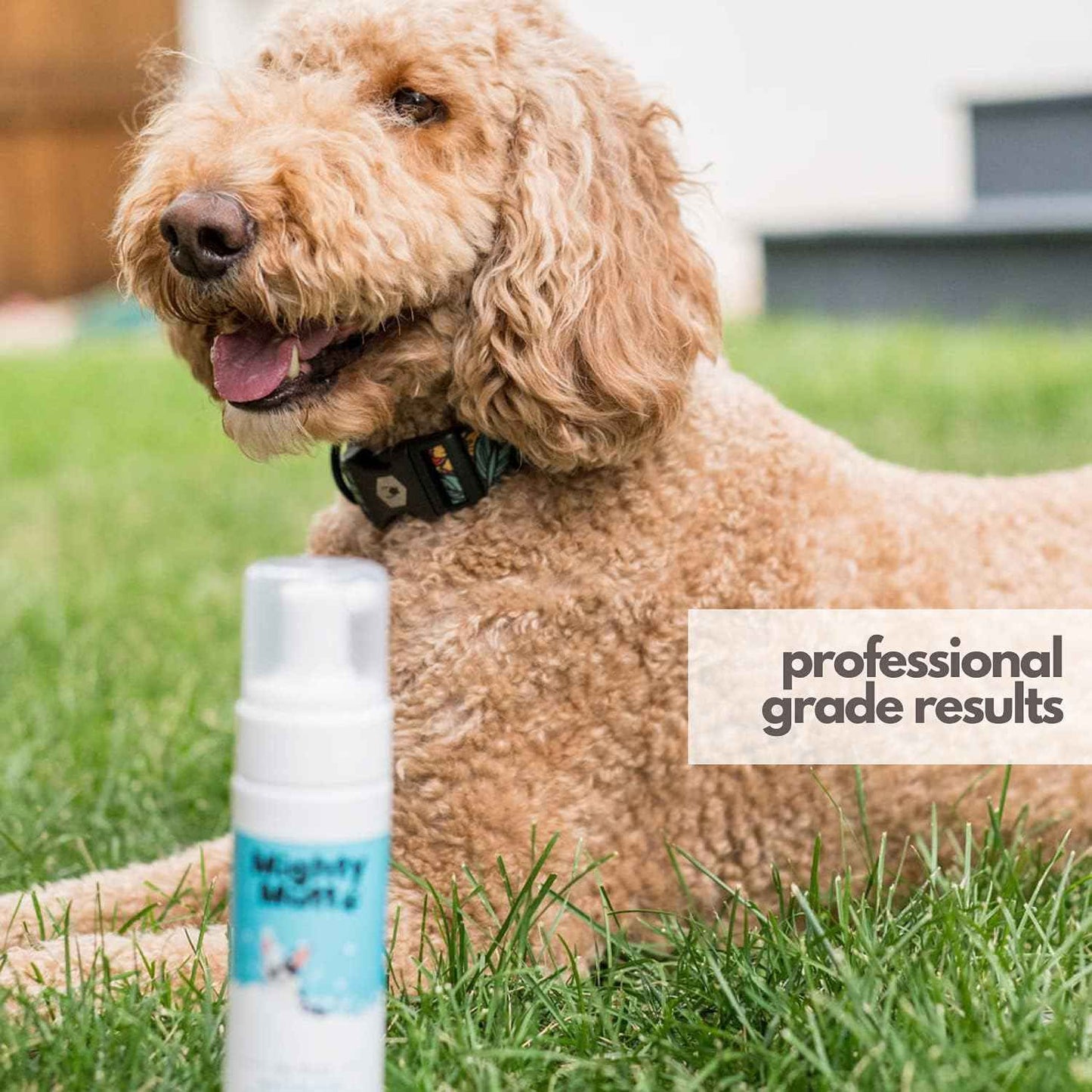 Mighty Mutt Hypoallergenic Waterless Shampoo for Dogs | Dry Shampoo for Dogs | Waterless Foam No Rinse | Anti-Itch, Soothing and Deodorizing | Fresh Breeze | 8 Fl Oz