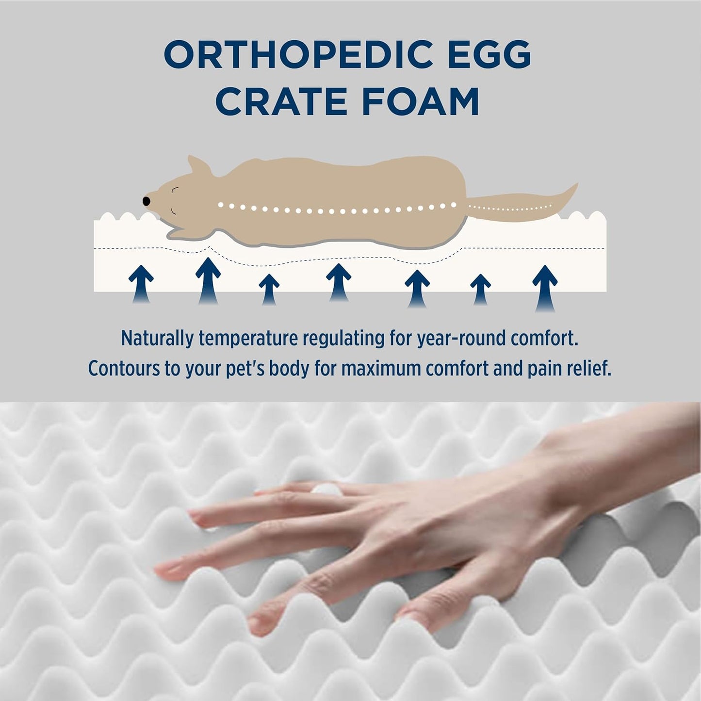 Bedsure XL Dog Beds Large Sized Dog -Orthopedic Flat Extra Large Pet Beds with Removable Washable Cover, Egg Crate Foam Mat, Suitable for Pet Up to 100 lbs